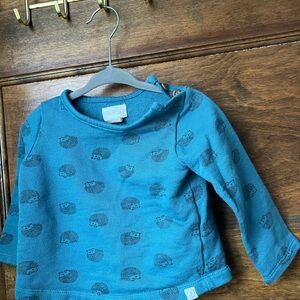 Little Planet Teal/Blue Hedgehog Print Kids Sweatshirt